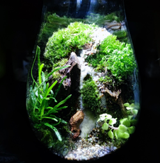 Awesome Image